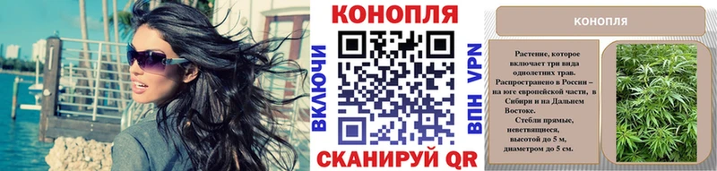 закладки  Канск  Бошки Шишки конопля 